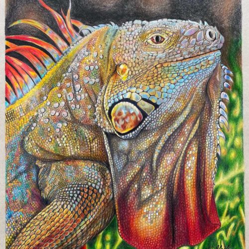 Red Iguana most popular work in Art Expo